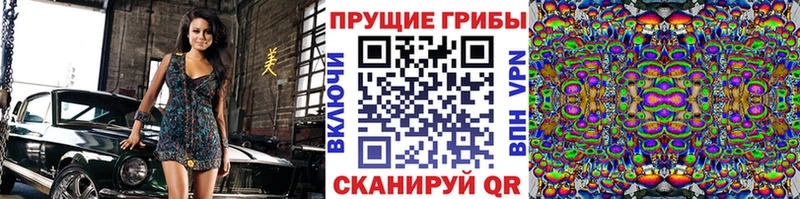 Галлюциногенные грибы Psilocybe  Пролетарск 